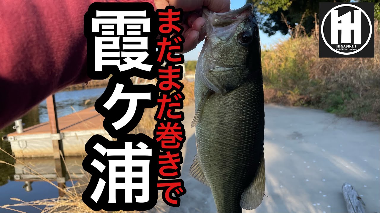 バス釣り霞ヶ浦！流入河川で初冬のクランクベイトフィッシュ2025年11月19日