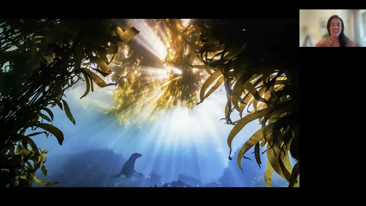 Discover The Wild Coast  Webinar