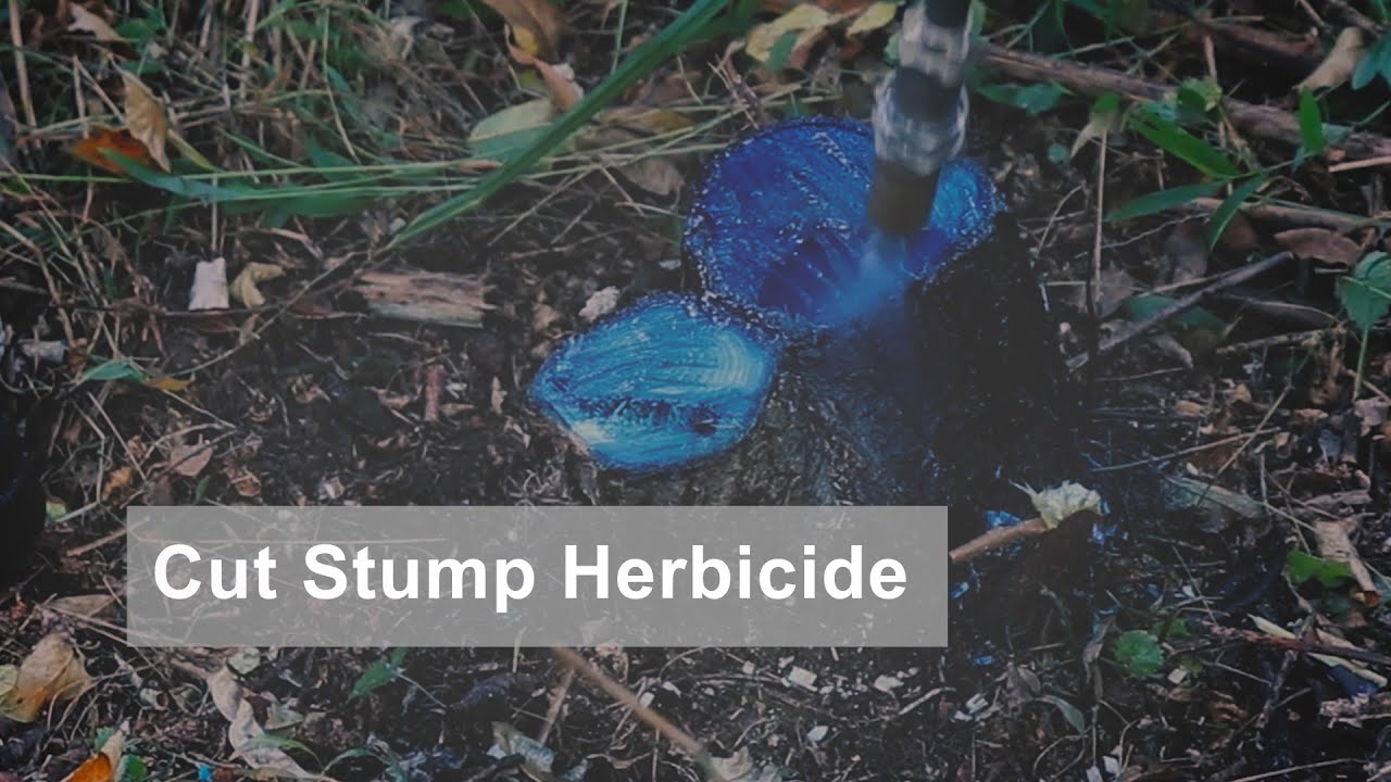 Cut Stump: Herbicide Treatments