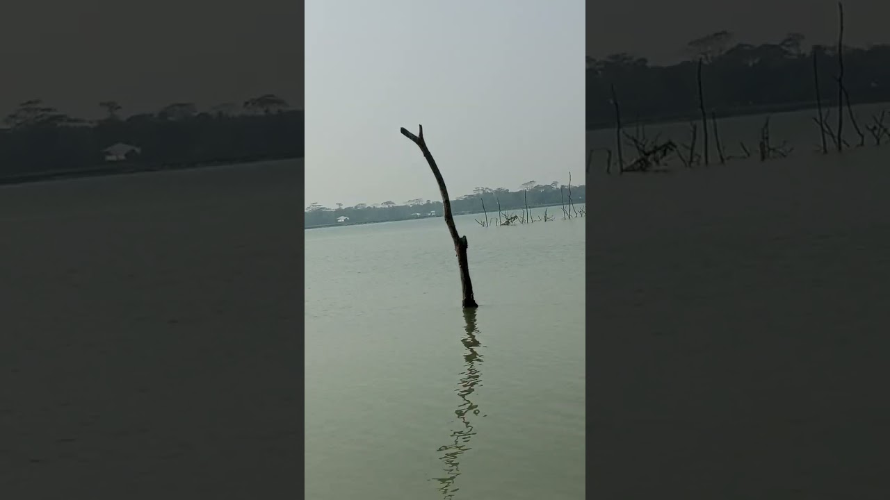 কত সুন্দর দেখুন 