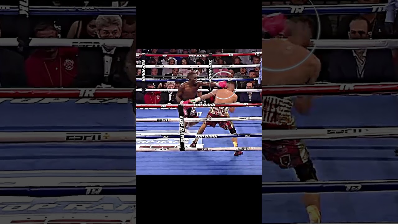 Terrence Crawford's Most Brutal KO