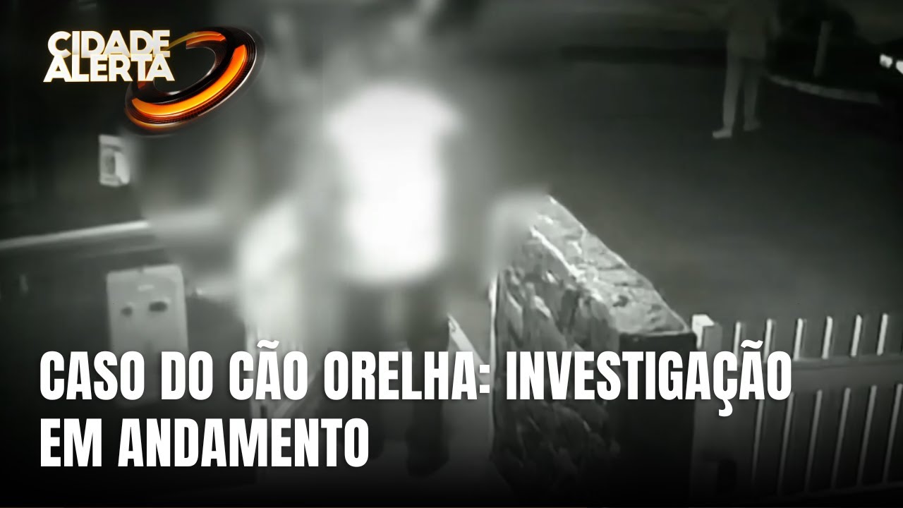 Polícia Civil avança nas investigações do caso do cão Orelha