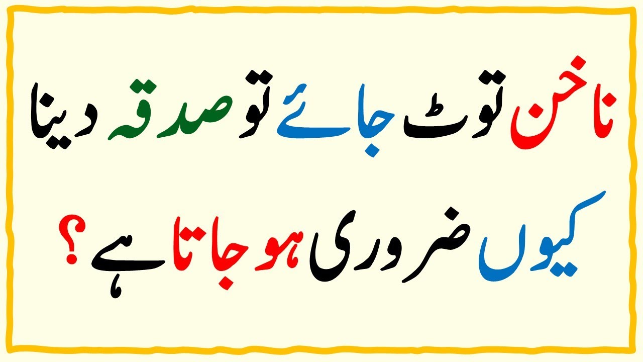 Islamic Common Sense Paheliyan in Urdu/Hindi | General Knowledge Quiz | Dilchasp Islami Maloomat#049
