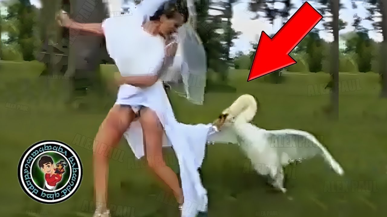 Bodas que se Convirtieron en una Pesadilla 🔥🔥 PARTE 10