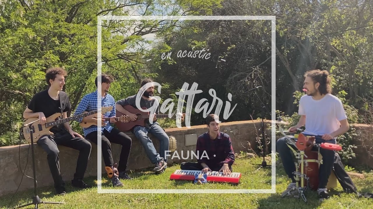 Gattari - Fauna (en acústic)