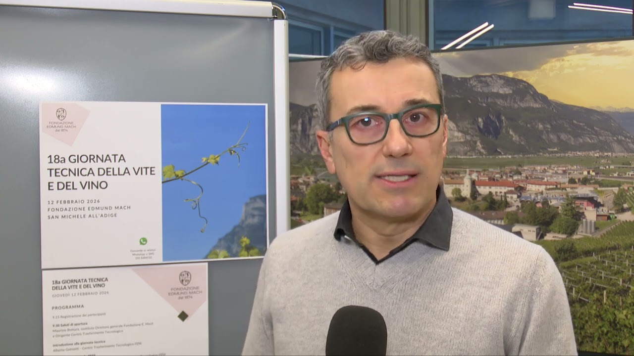 Mario Malacarne, Centro Trasferimento Tecnologico FEM
