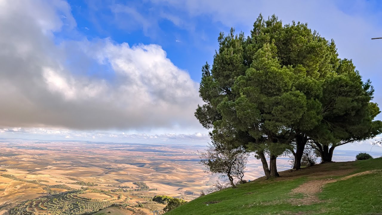 Djbel Tessala, Sidi Bel Abbes. Shot on iPhone 13 Pro