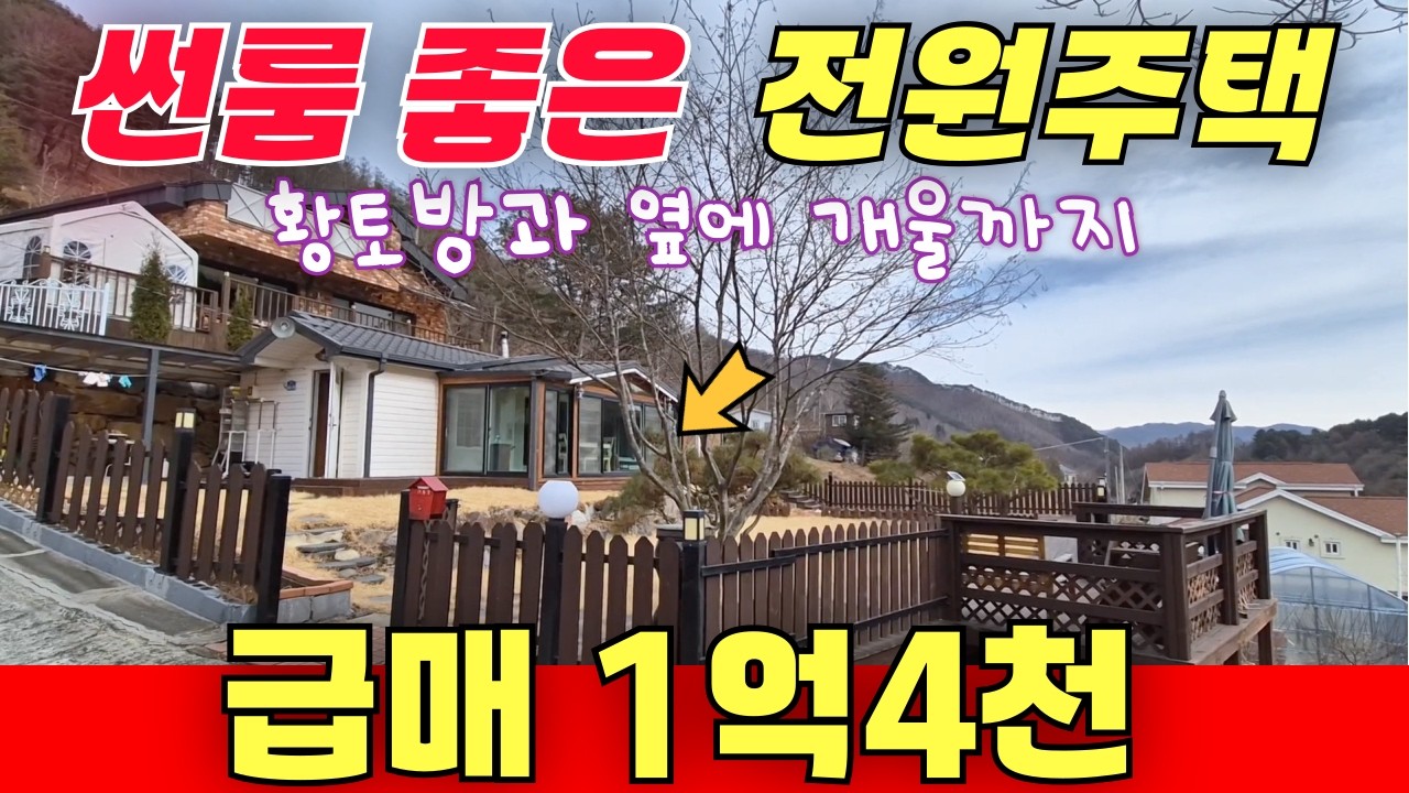 쎈언니 4257