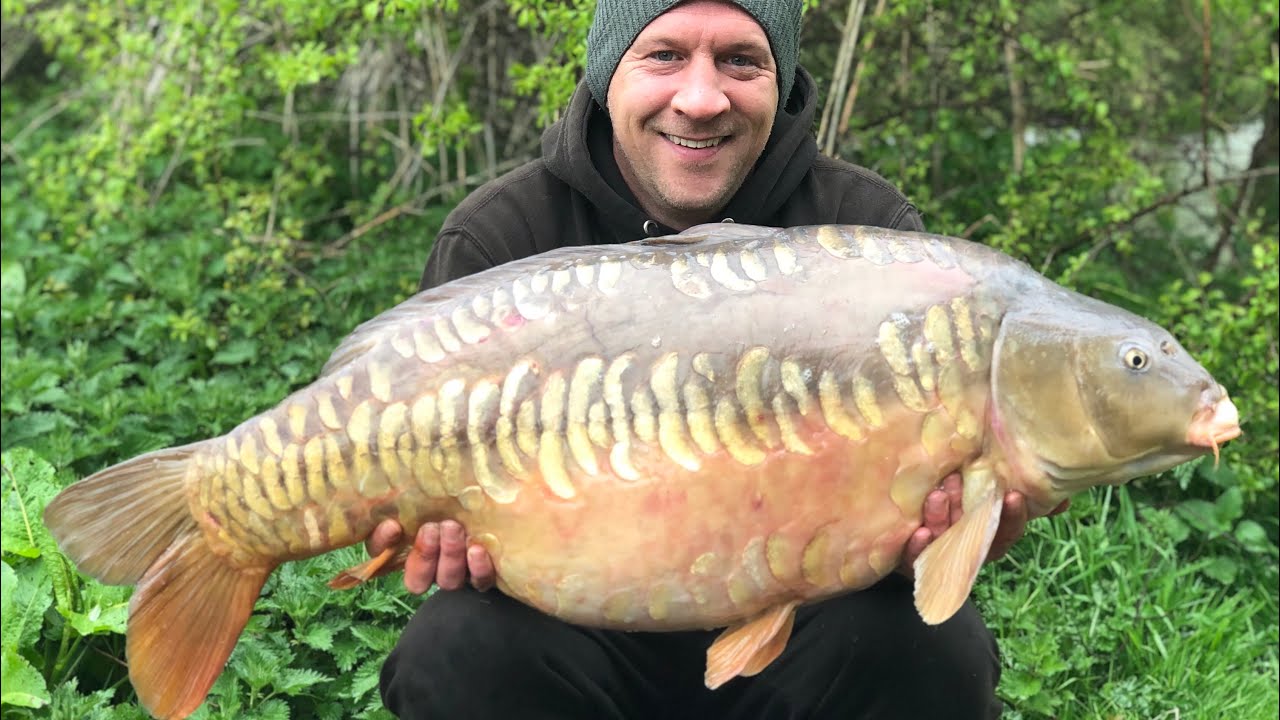 Coking Farm, Meadow Lake , 40LB , MONSTER CARP CAUGHT, carp fishing , day ticket carp ,
