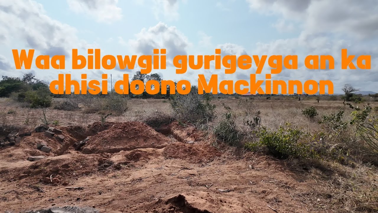 Manta waxaan eelo eelo ku sameynaya dhulka an mustaqbalka ka dhisan doono Mackinnon Road.