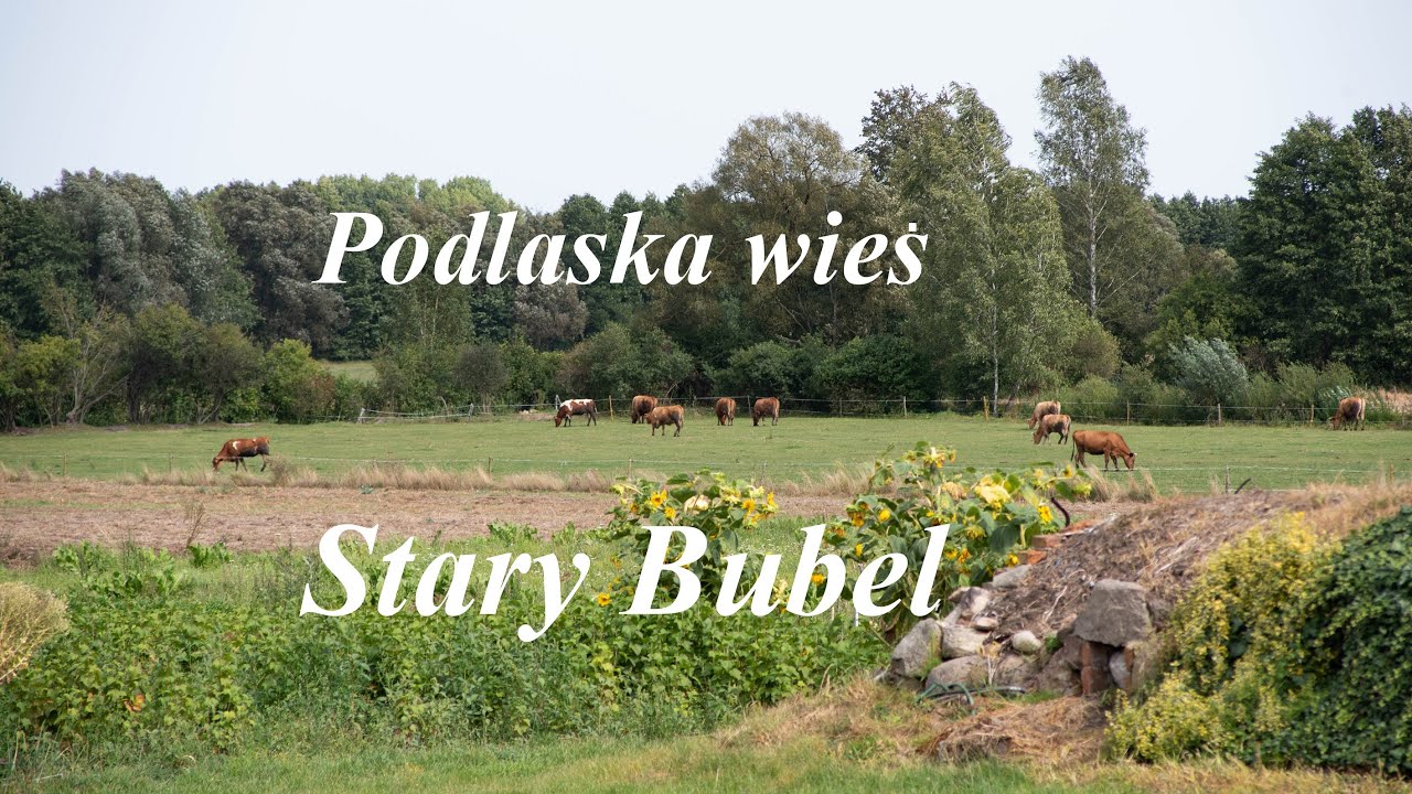 Podlaska wieś Stary Bubel
