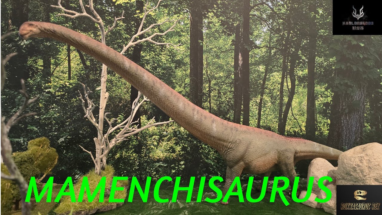 Haolonggood Mamenchisaurus 1:35 Scale Model Review