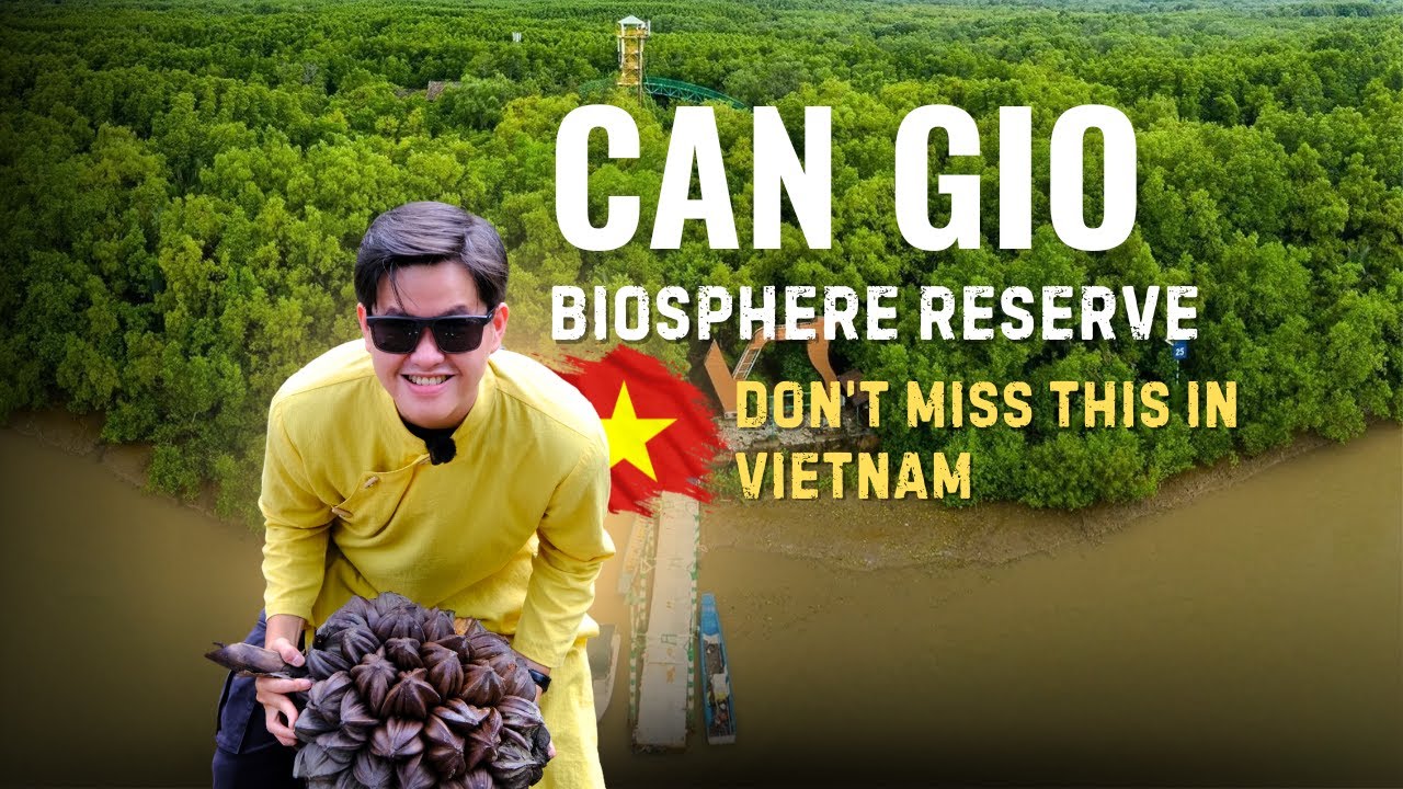 Exploring Can Gio Mangrove Forest | Best Day Trip from Ho Chi Minh City!