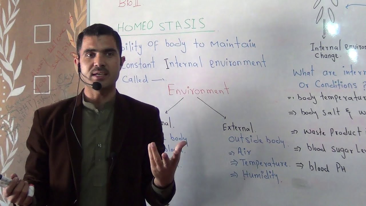 L-1 Concept of Homeostasis, Types of environments
