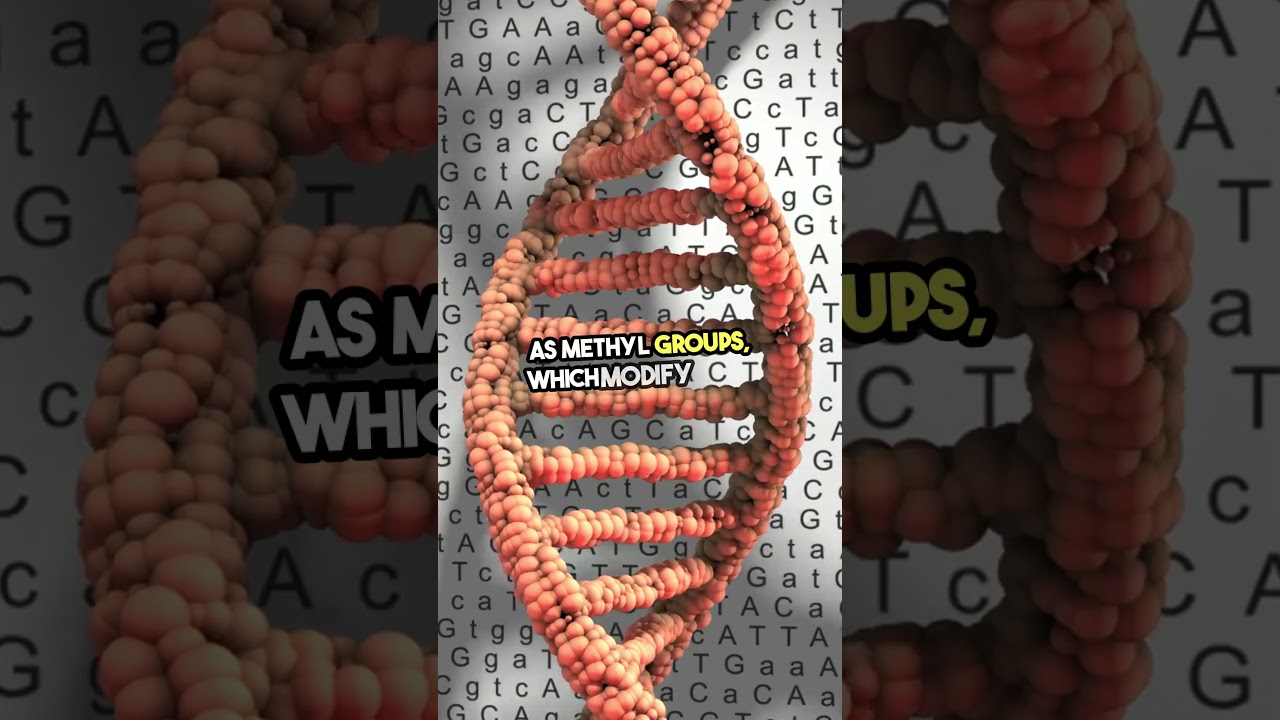 Can Emotions Change Your DNA? The Science of Epigenetics Explained