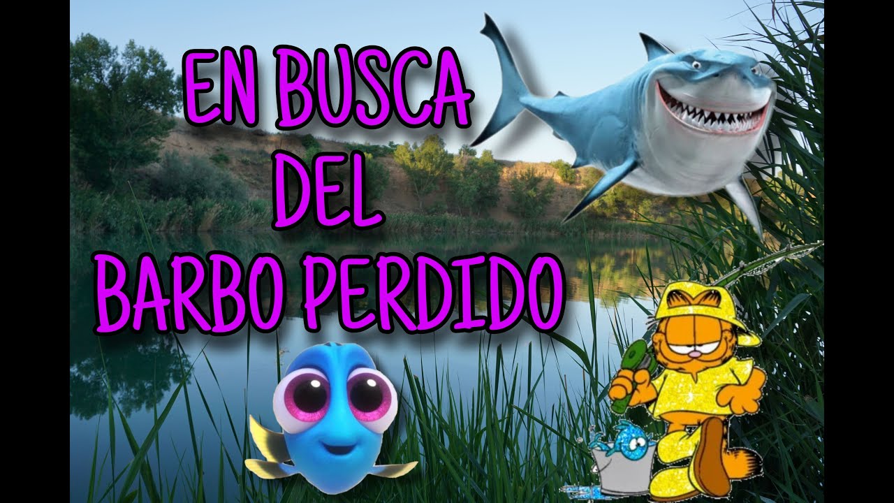 BUSCANDO EL BARBO PERDIDO  | CARPFISHING | 2022