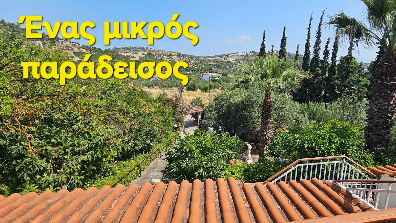 Πωλείται εξοχική κατοικία 210τμ. στην Συκάμινο Ωρωπού σε κτήμα 3,5 στρεμμάτων .