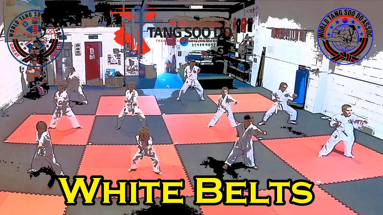 Wales Tang Soo Do (WTSDA) June 2021 Grading White Belts