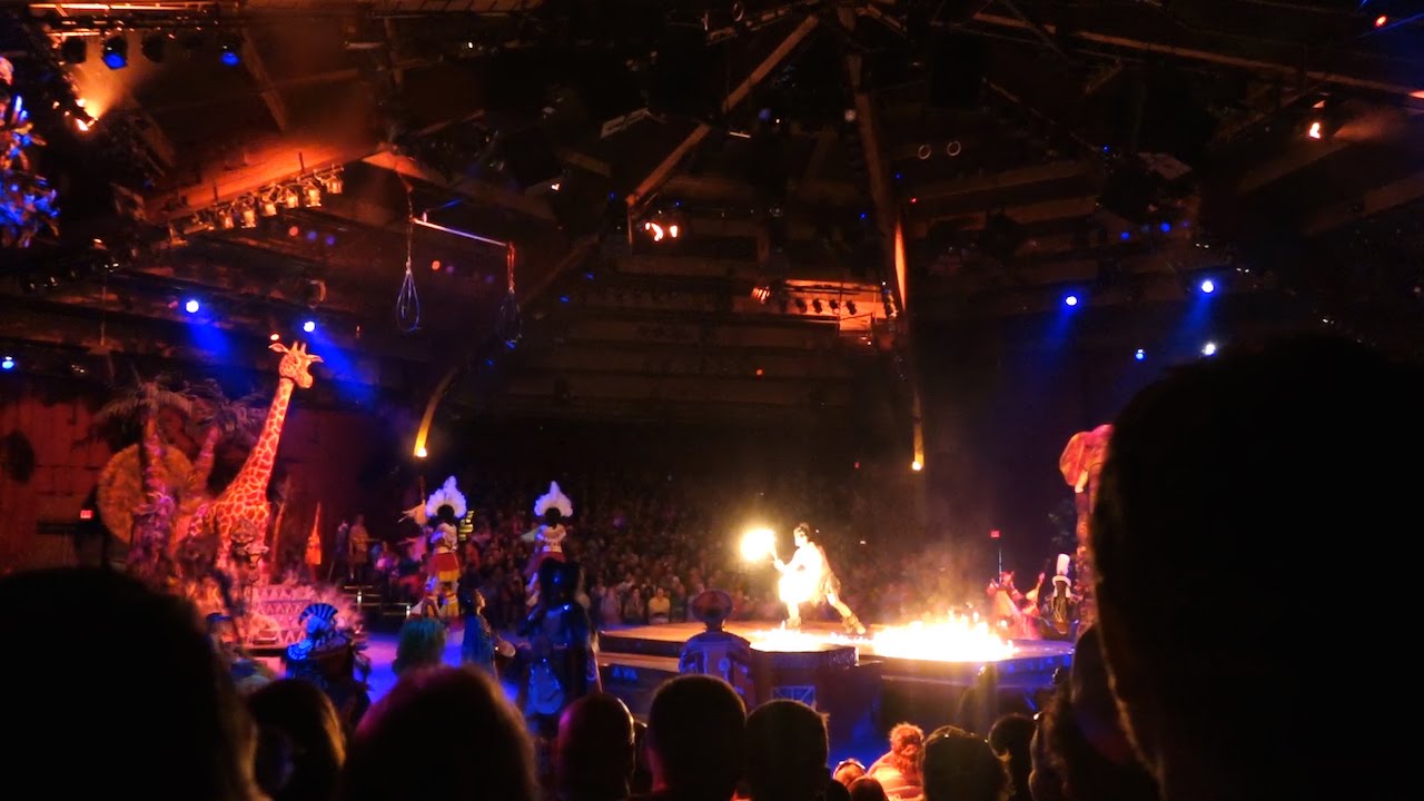 Festival of the Lion King, Disney's Animal Kingdom, Disney World