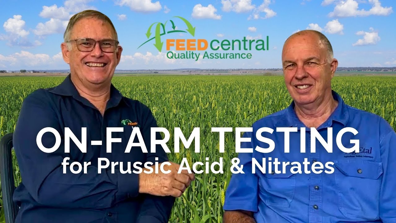 Summer testing for Prussic Acid and Nitrates