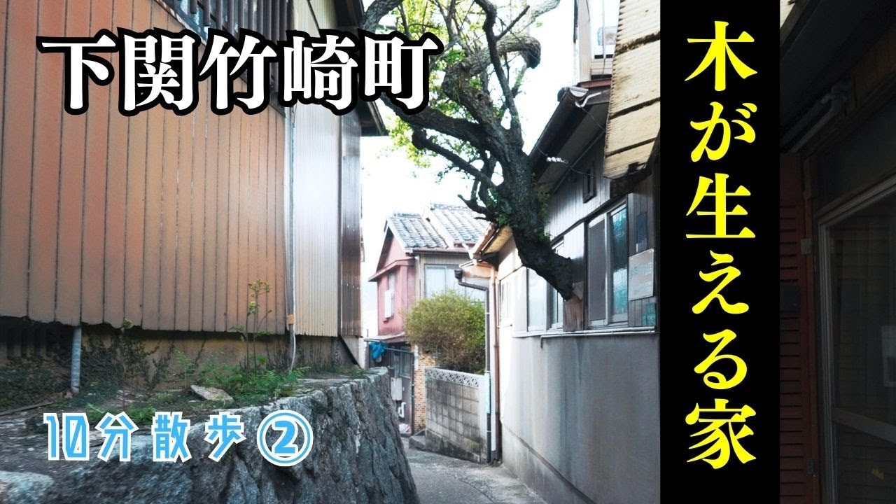 家から「木」？？【10分散歩】坂の街・下関竹崎町②下関市観光・山口県観光