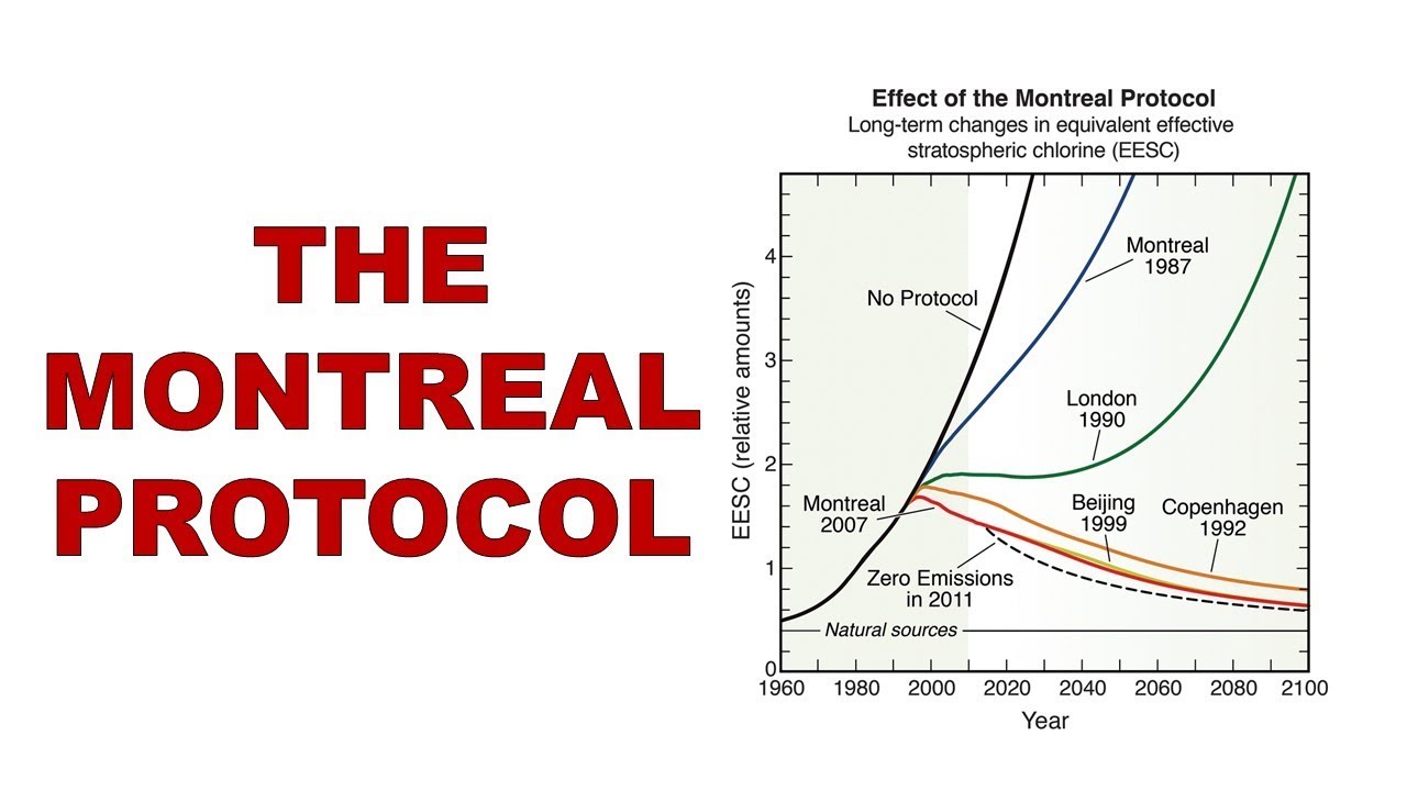 History of the Montreal Protocol