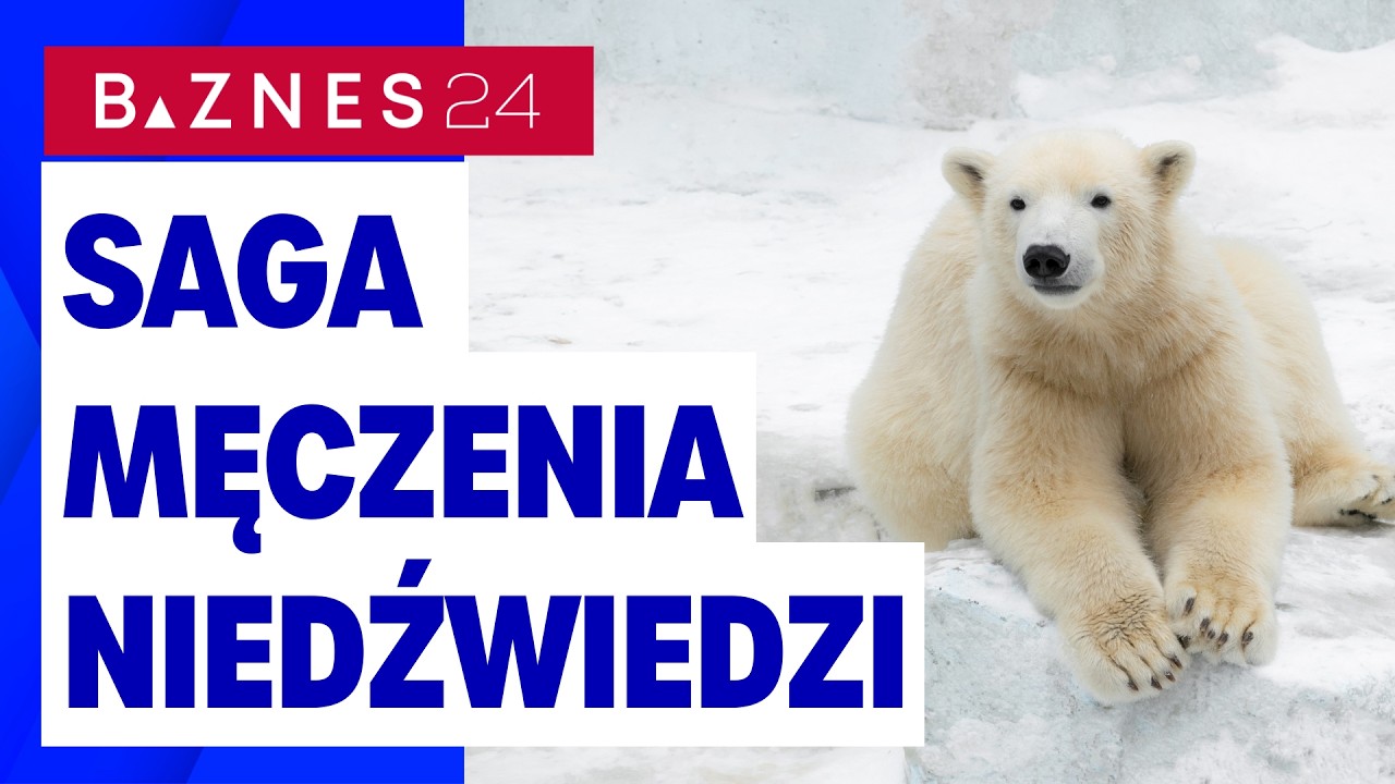 GPW: Mozolny trend w górę