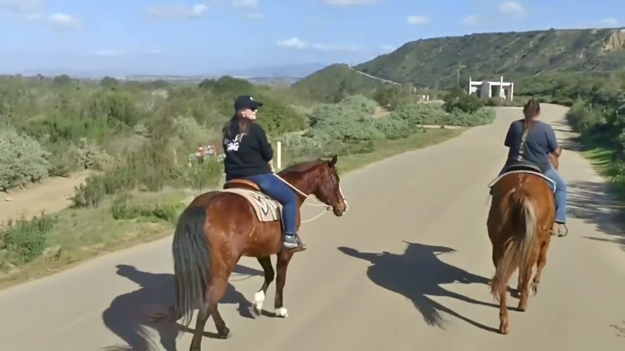 Horseback Riding in San Diego (with SD Surfside Ranch)