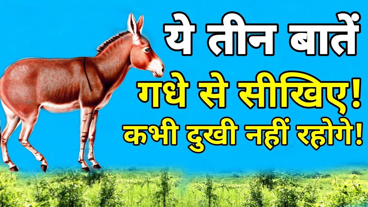 ये तीन बातें 