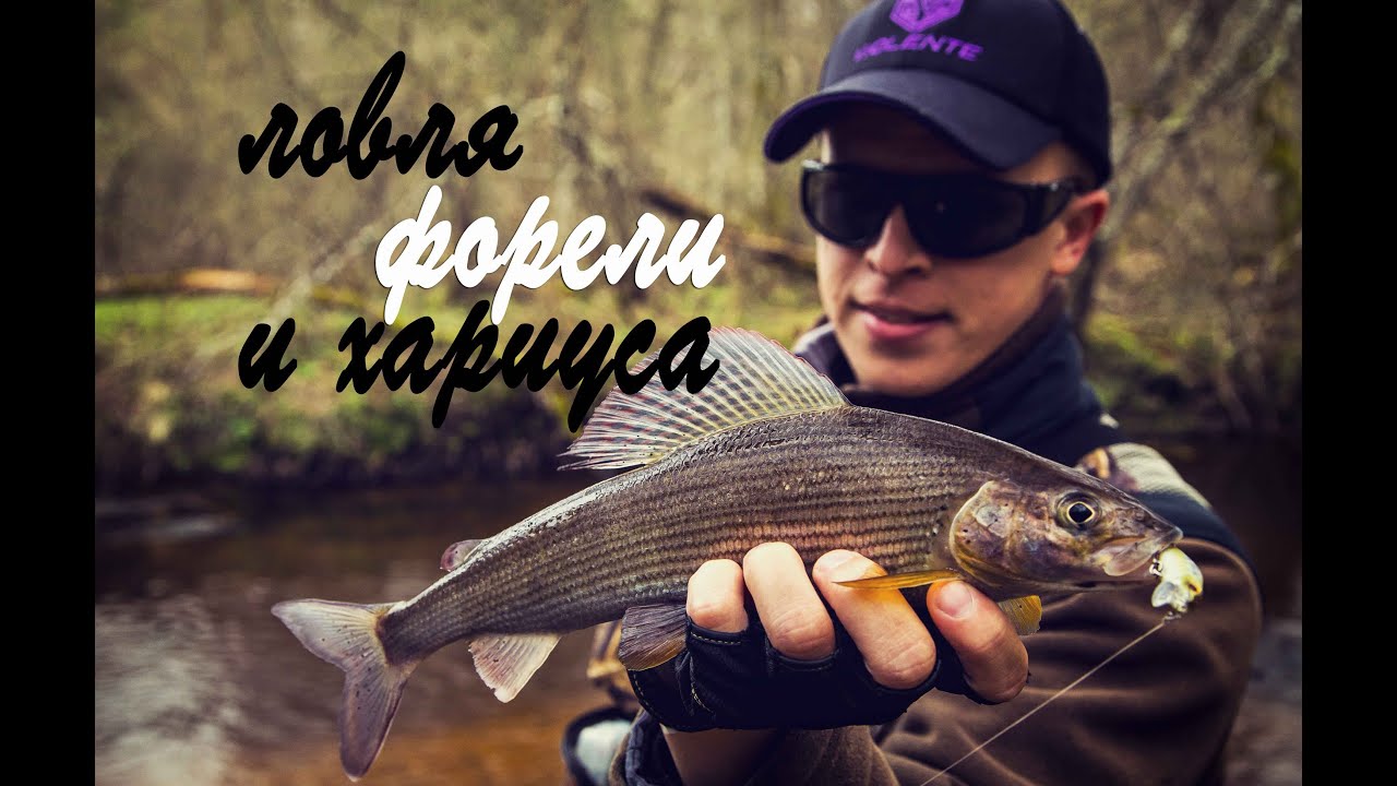 Ловля форели и хариуса. Реки Литвы часть 2.