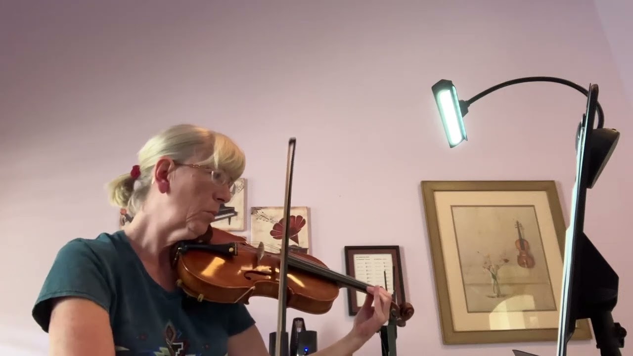 Violin cover of “There You’ll Be”