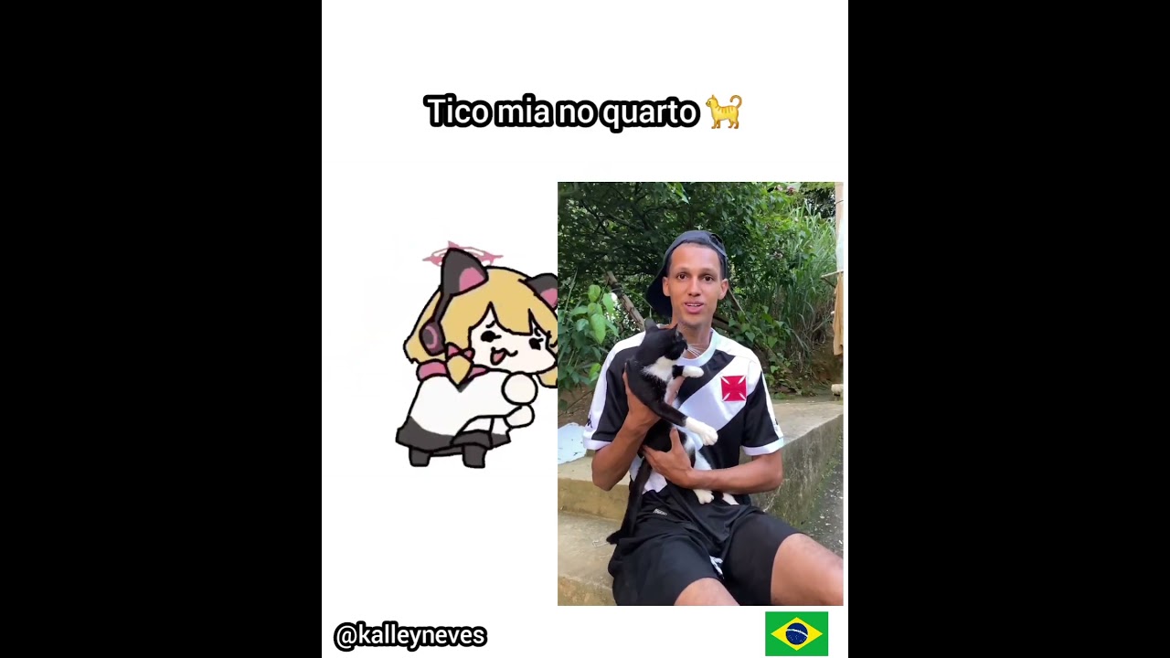 OMG, It's Este &eacute; o meu gato Tico 🐈🇧🇷 meme