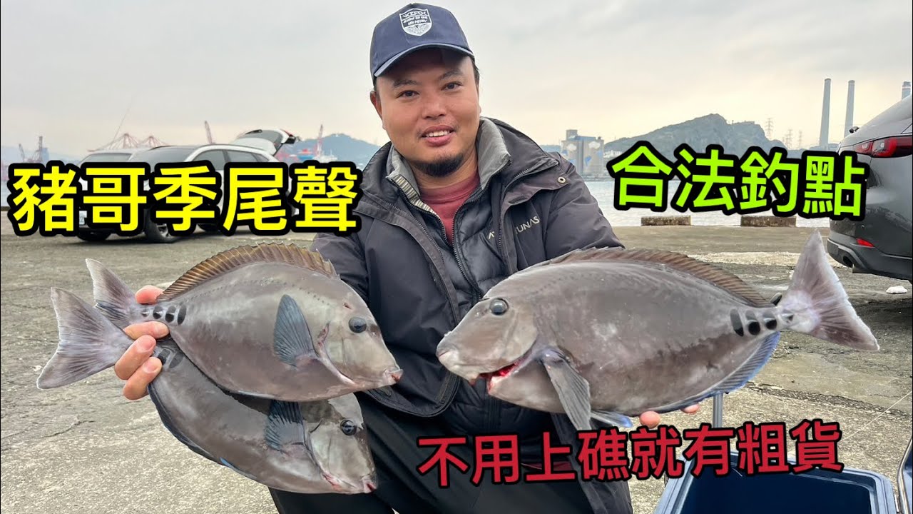 豬哥季尾聲！！ 豬哥大咬還不來 ？ 魚不等人 再不把握就錯過了～～ #基隆白燈 #黑豬哥 #磯釣り #磯釣 #fishing #海男釣魚頻道