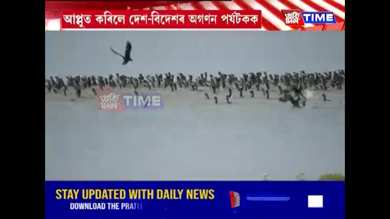 কাজিৰঙা ৰাষ্ট্ৰীয় উদ্যানৰ কহঁৰা বনাঞ্চলৰ মনোৰম দৃশ্য