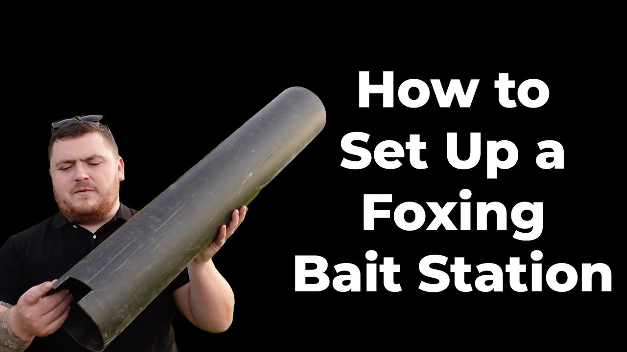 How To Build a Foxing Bait Station