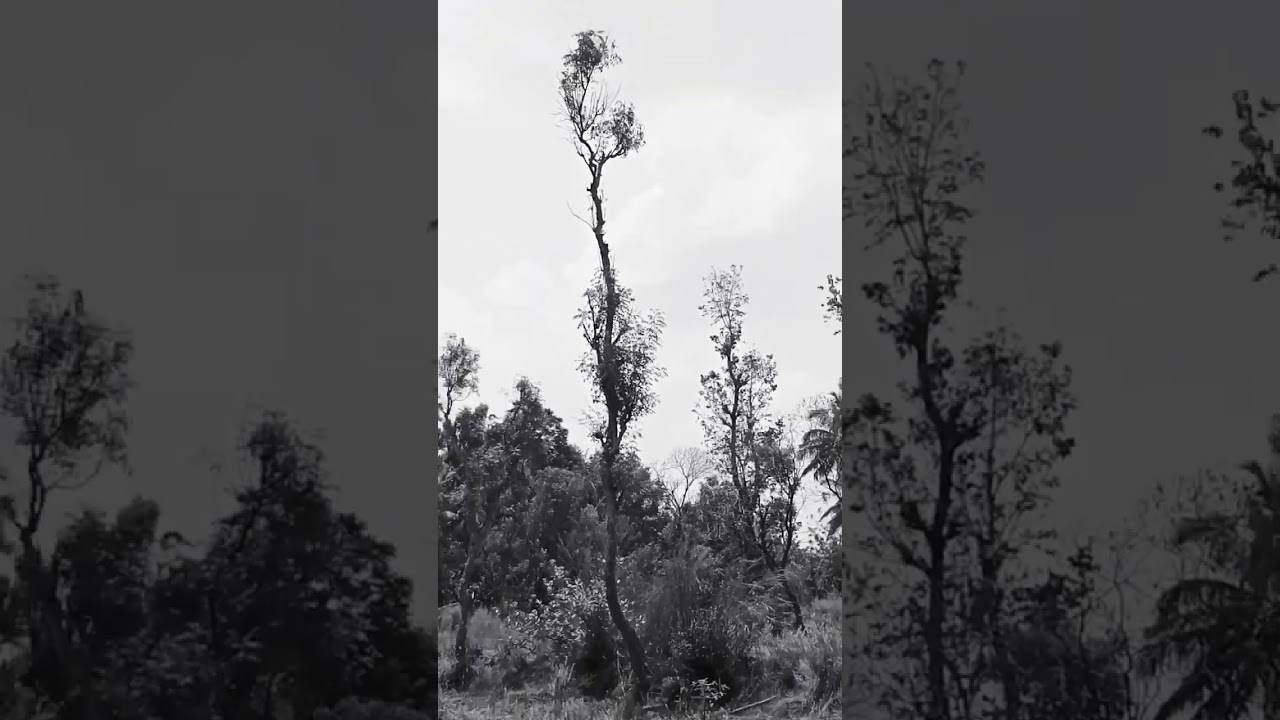 #uk #kannada #song #love #youtubeshorts #sorry