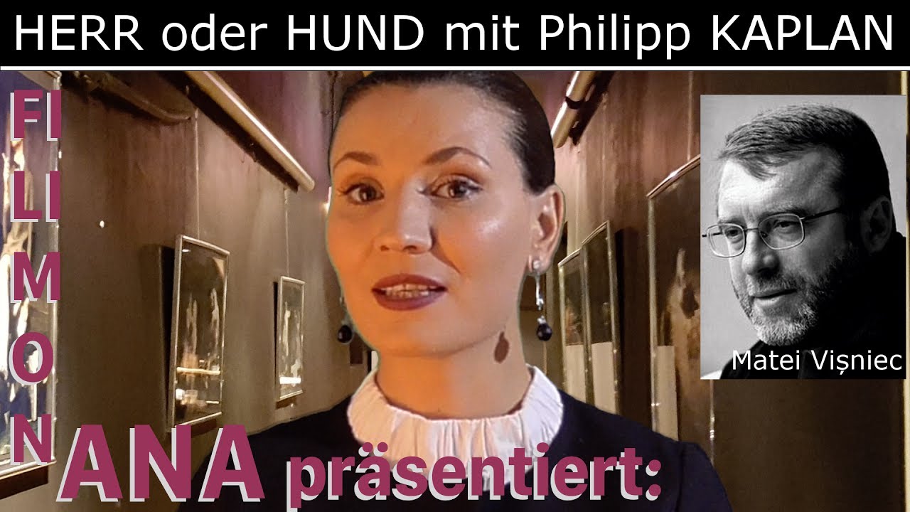 Herr oder Hund von Matei Vișniec, Bericht