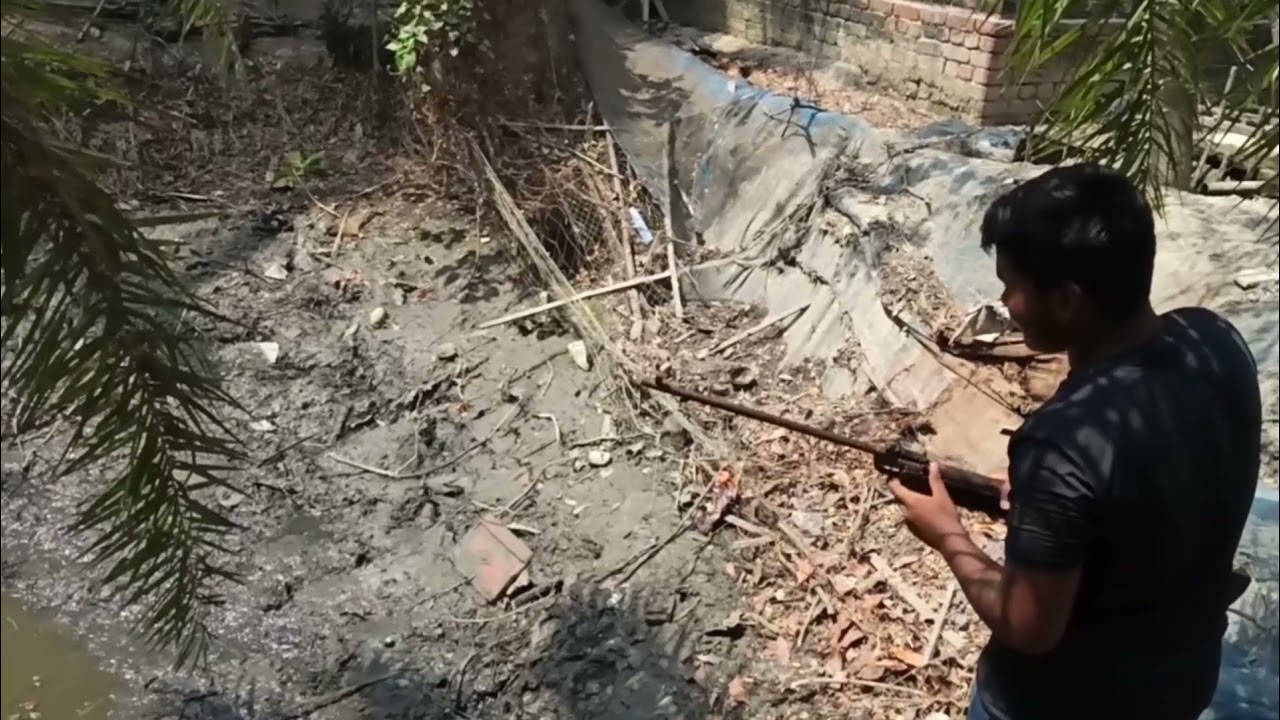 Fish hunting by Chinese Air Rifle in Village Pond