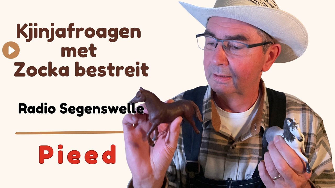 Pieed || Plautdietsch || Plattdeutsch || Low German