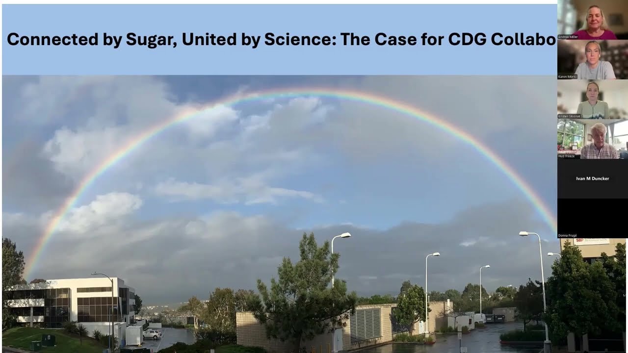 CDG Community Connection - CDGs Overview (Dr. Hud Freeze) - Polish