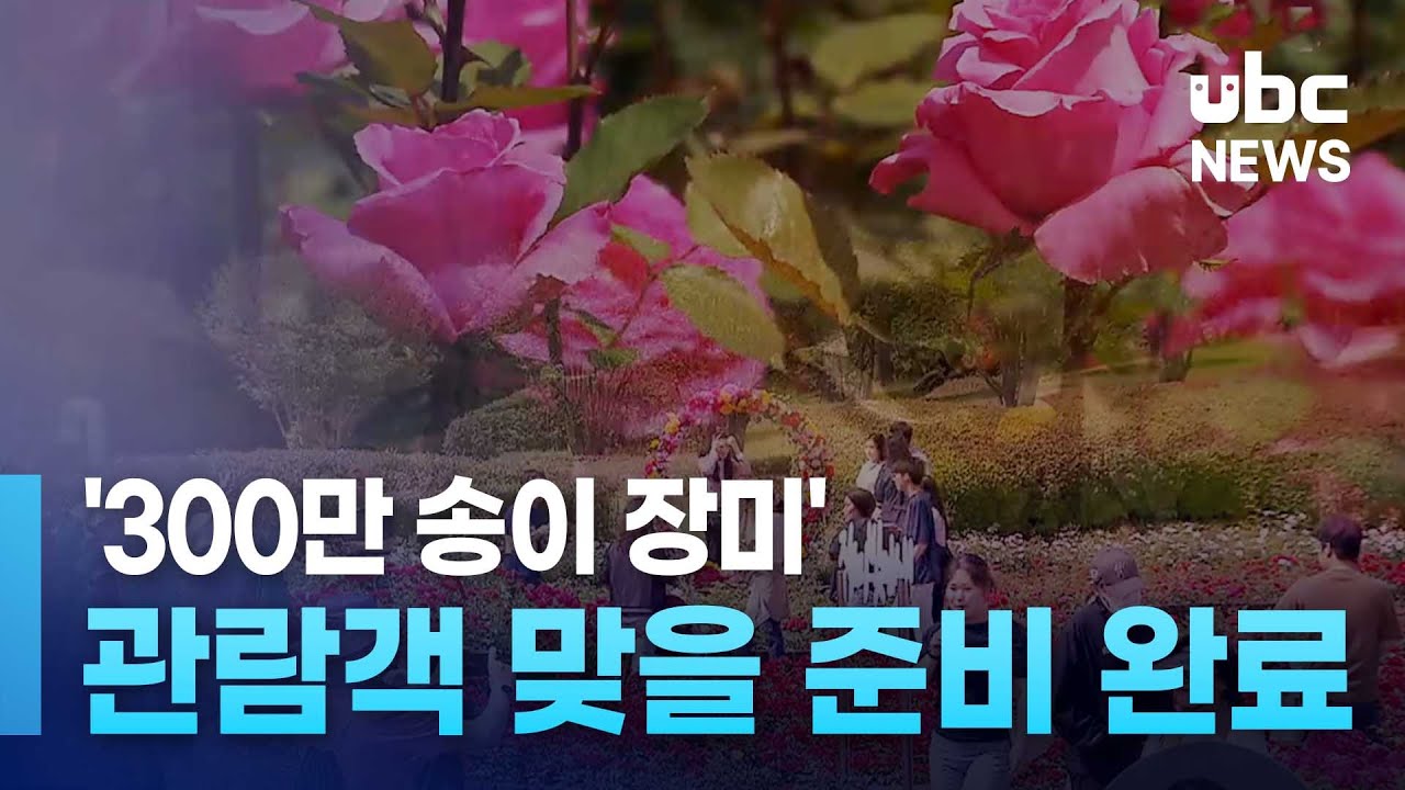 '300만 송이 장미' 관람객 맞을 준비 완료 250519