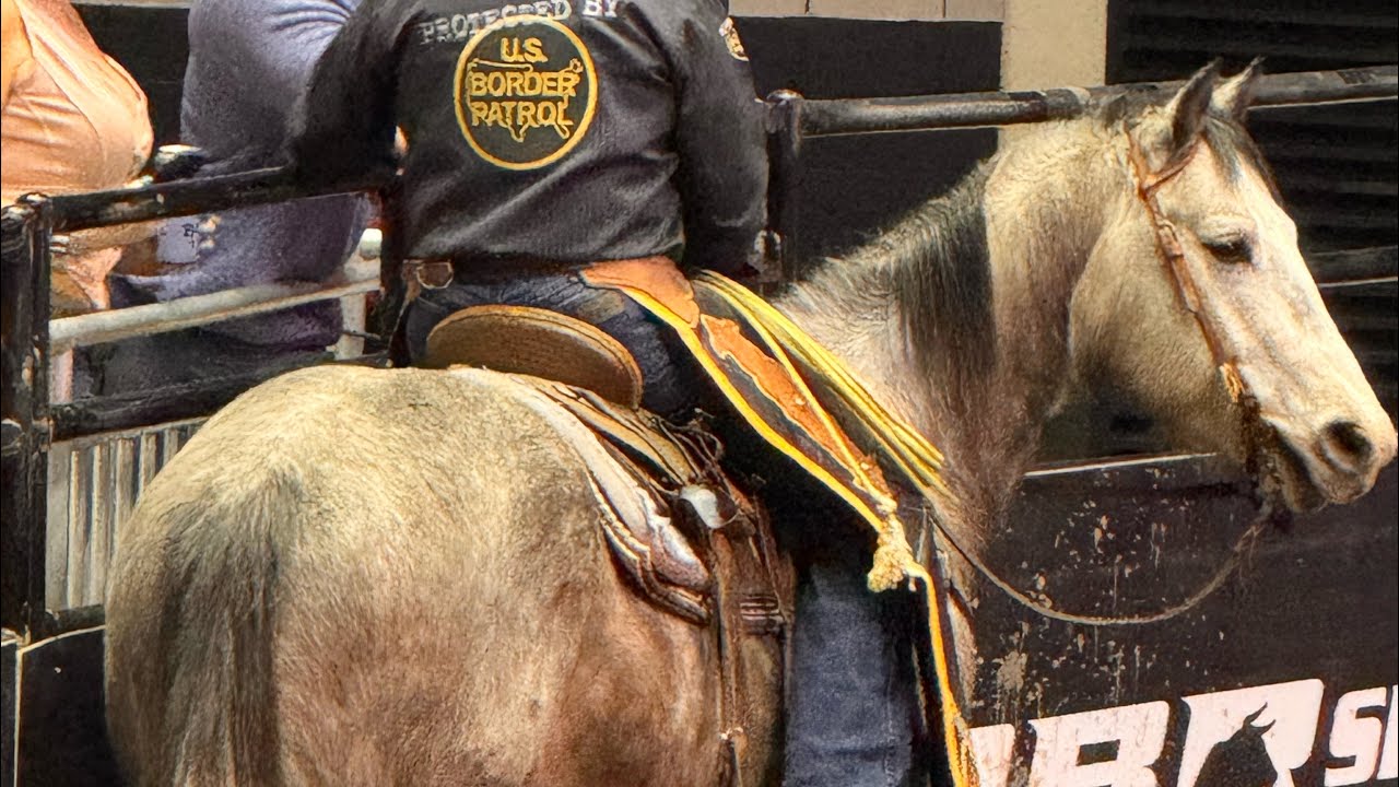 When we went to the PBR Velocity Tour Bucking Bull Rodeo 