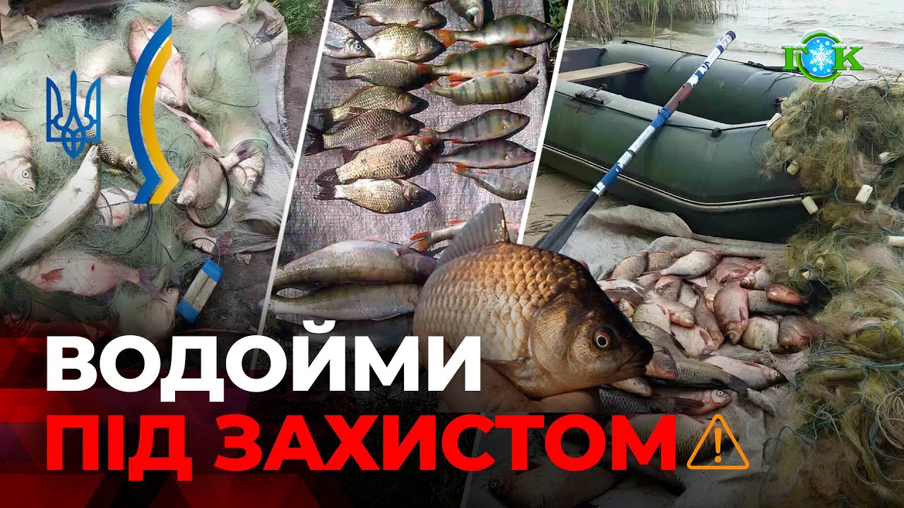 ⚡ Рейди, мільйонні збитки і тонни риби: підсумки 2025 року на водоймах Полтавщини