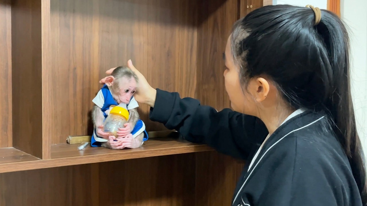 Too Cute! CUBIS Asks Aunt to Prepare His Milk