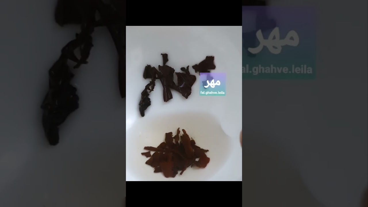 ۱۴۰۴.۱۰.۱۶