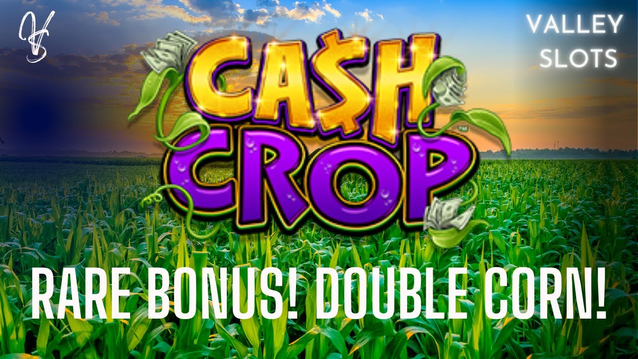 Rare Bonus Game with Both Special Features on Lock it Link Riches Cash Crop Slot Machine
