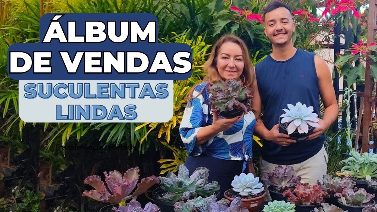 Incrível Álbum de vendas com suculentas raras e magníficas + Crescimento, prosperidade e abundância