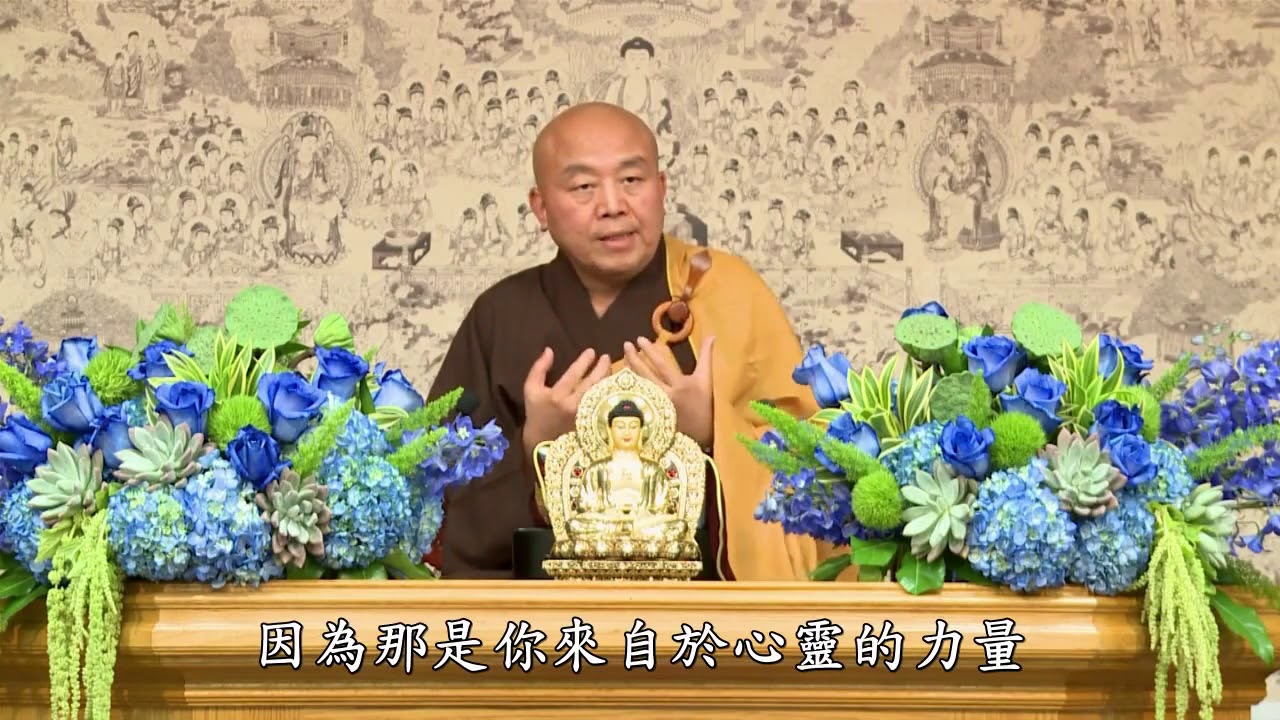 佛法修学概要 净土教观学苑 净界法师 期中座谈 3 HD