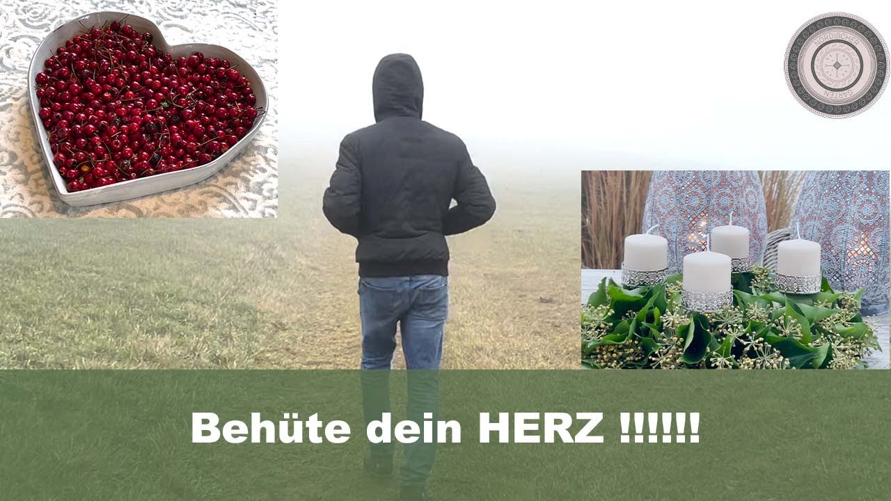 Diese Pflanze ein MUSS f&uuml;rs HERZ , eine VITAMIN C - Bombe, Adventkranz ganz besonders