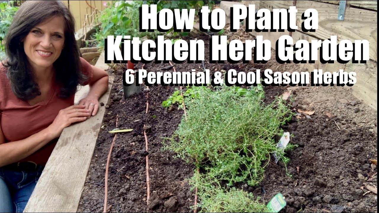 How to Plant a Kitchen Herb Garden - 6 Perennial and Cool Season Herbs 🌱